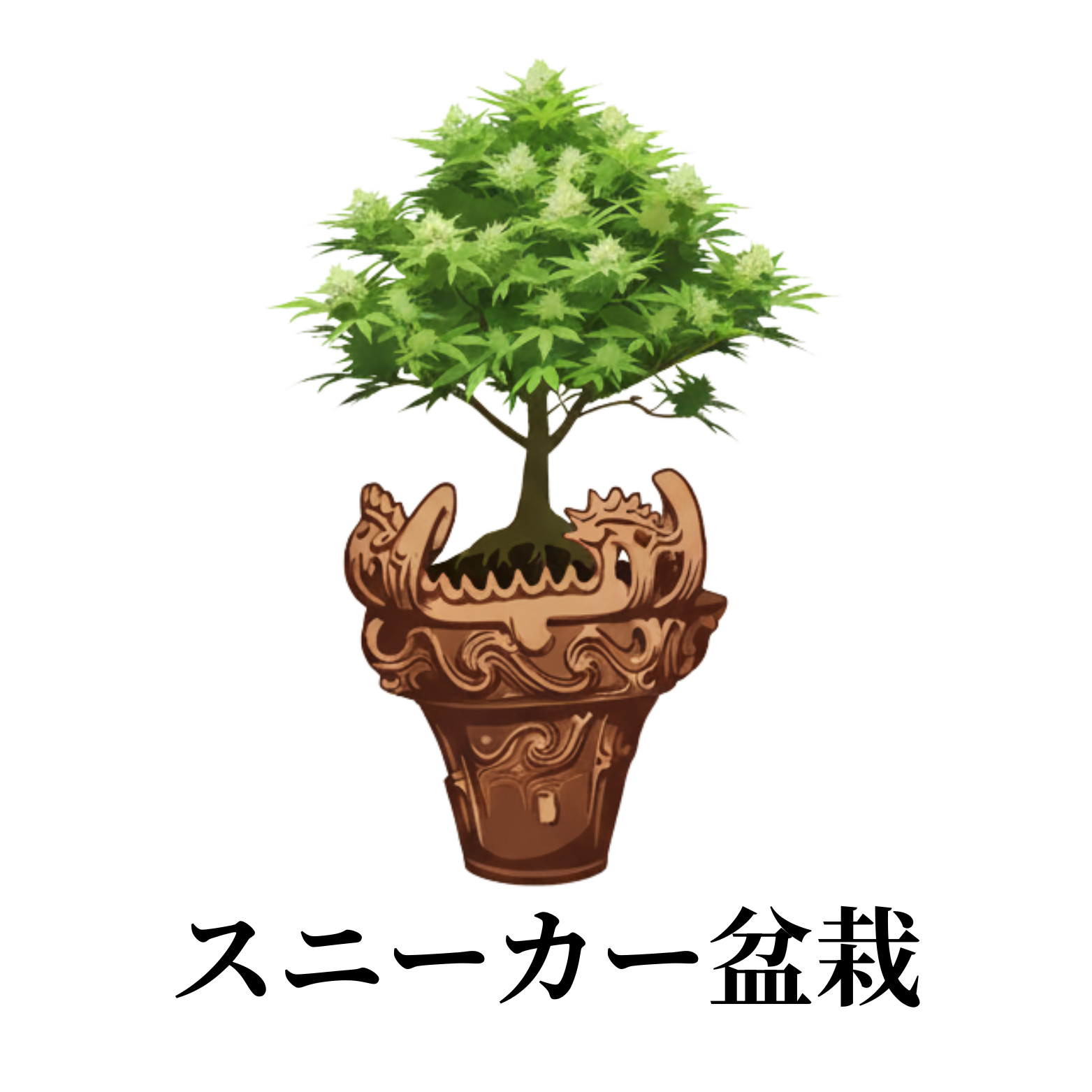 Logo Sneaker Bonsai